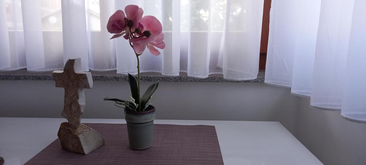 Marys Home Apartment Medugorje Екстериор снимка